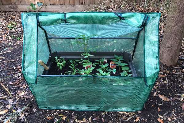 Patio Garden Bed with Base - Charcoal + Drop Over Greenhouse