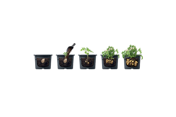 Maze Recycled Plastic Potato Growing Planter Pot 300mm - Anthracite