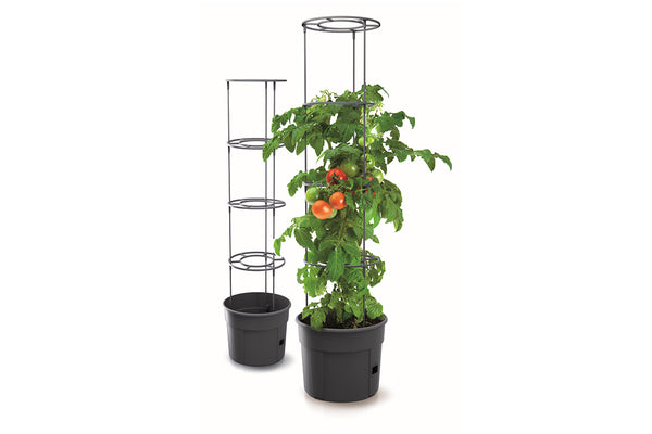 Maze Recycled Plastic Tomato Growing Planter Pot 400mm - Anthracite