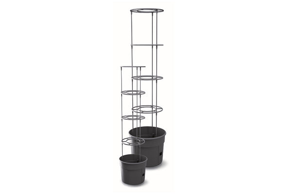 Maze Recycled Plastic Tomato Growing Planter Pot 400mm - Anthracite