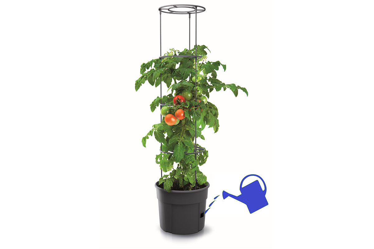 Maze Recycled Plastic Tomato Growing Planter Pot 400mm - Anthracite