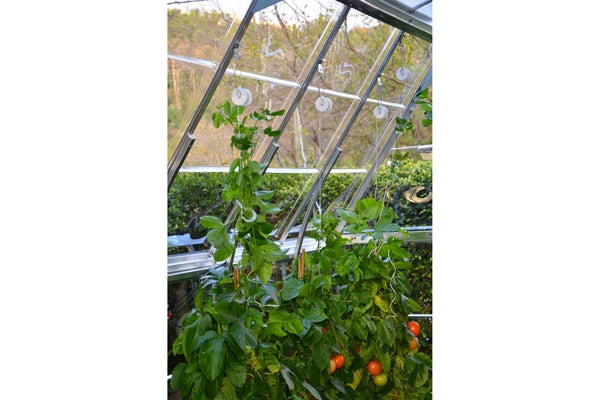 Maze Greenhouse Accessory - Trellising Kit