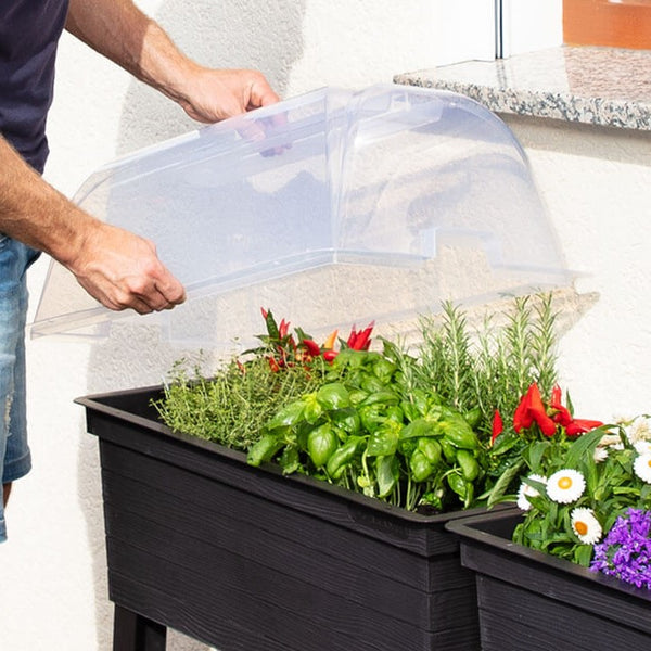 URBAN Plastic Raised Garden Planter & Cloche Cover 870H x 750W x 370D - Brown