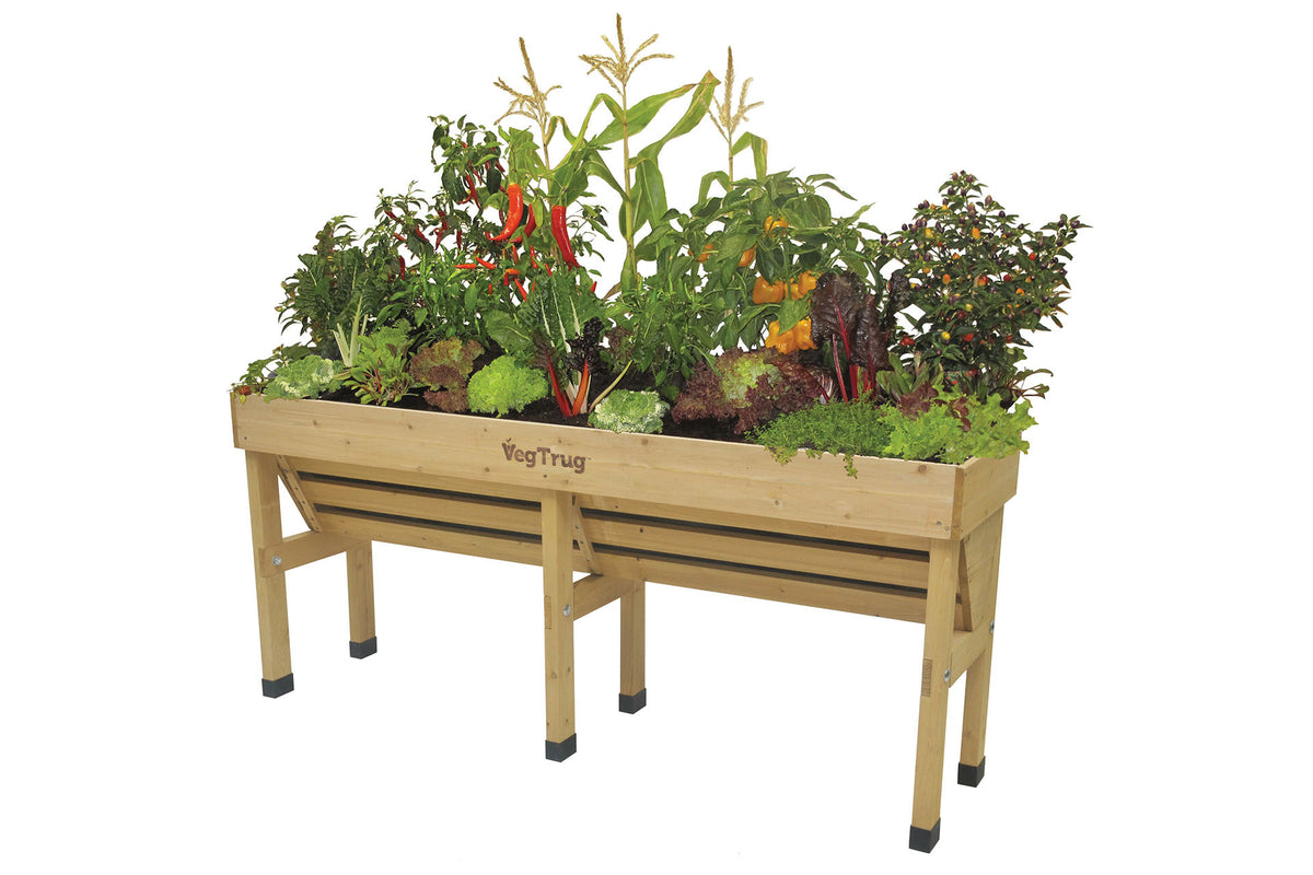 VegTrug Wooden Raised Planter Medium Wallhugger - Natural