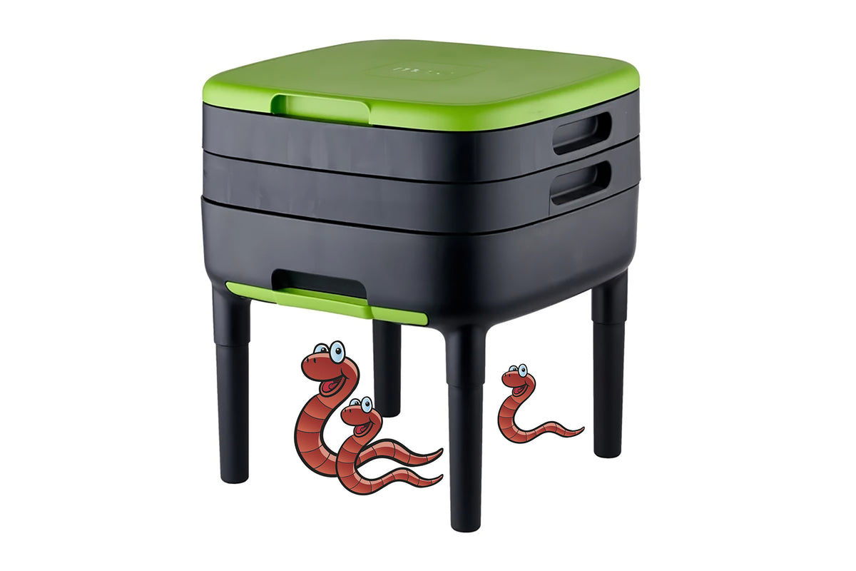 Maze Compact Worm Farm with Plastic Legs and 1000 Worms