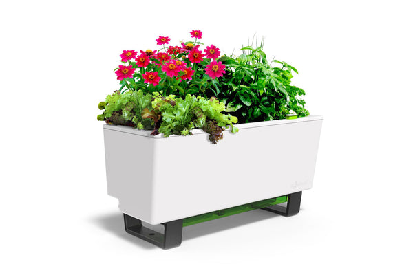 Glowpear Mini Bench Planter - Self Watering Raised Garden Planter Box