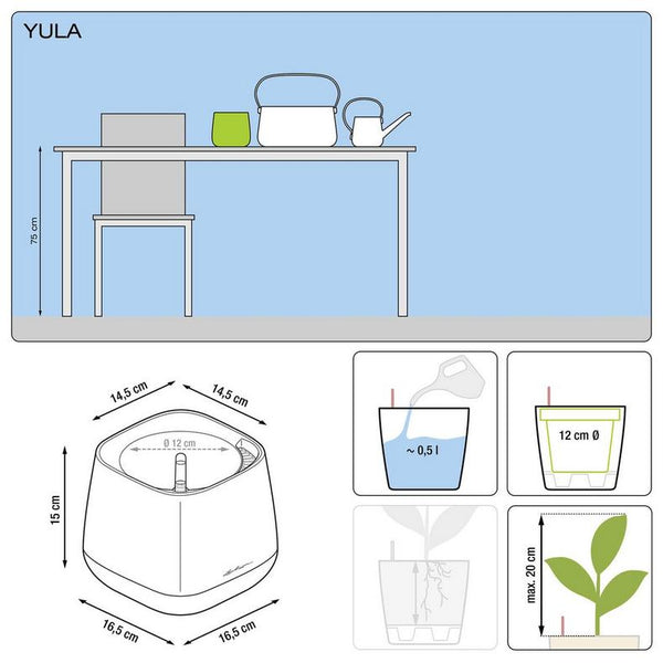 Lechuza Self Watering Pot - YULA