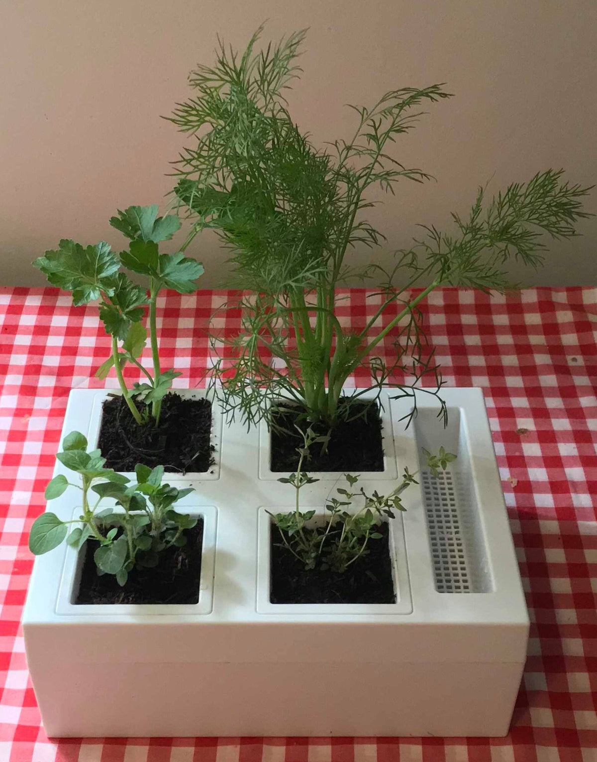 Greenlife Self-watering Bench Top Herb Growing Planter with 4 Pots