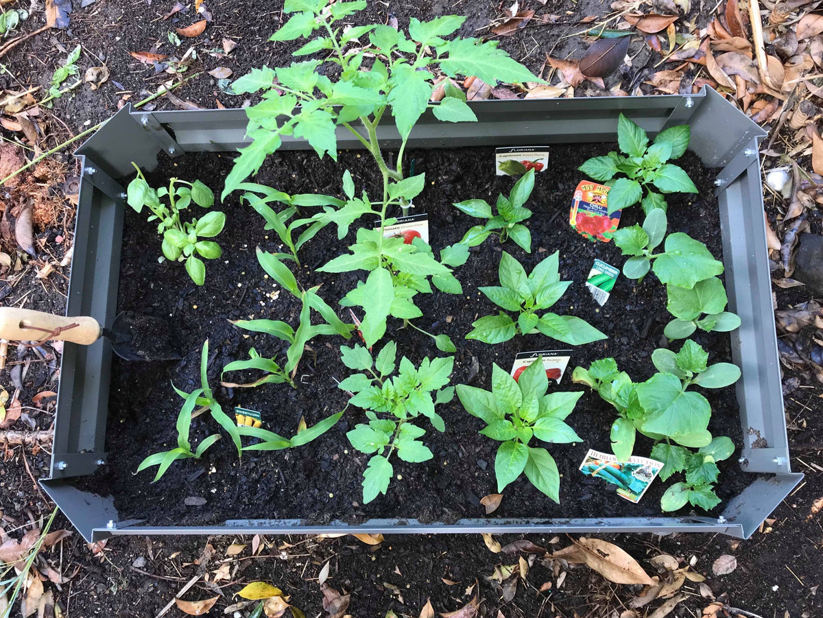 Greenlife Patio Raised Garden Bed with Base 800 x 500 x 300 Charcoal