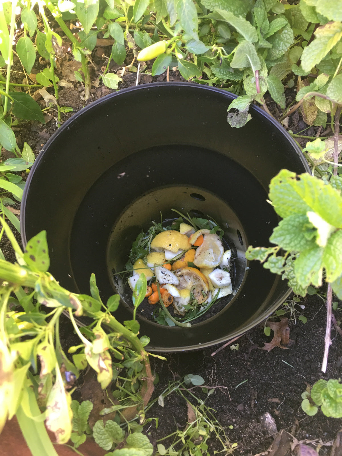 Greenlife Premium Worm Farm In-Ground Micro Compost Tower for Gardens
