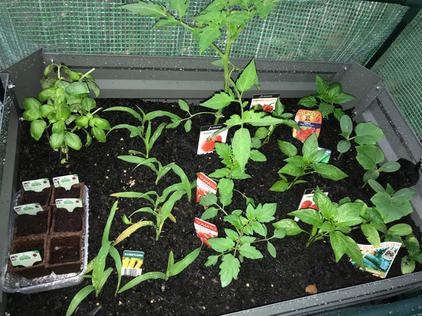 Patio Garden Bed with Base - Slate Grey + Drop Over Greenhouse