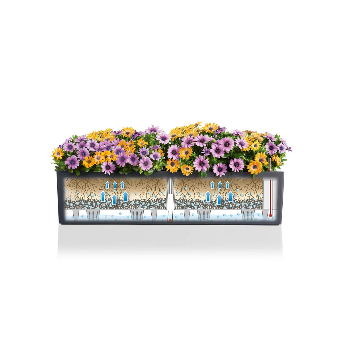 Lechuza BALCONERA Color 80 Self-Watering Plastic Planter Box