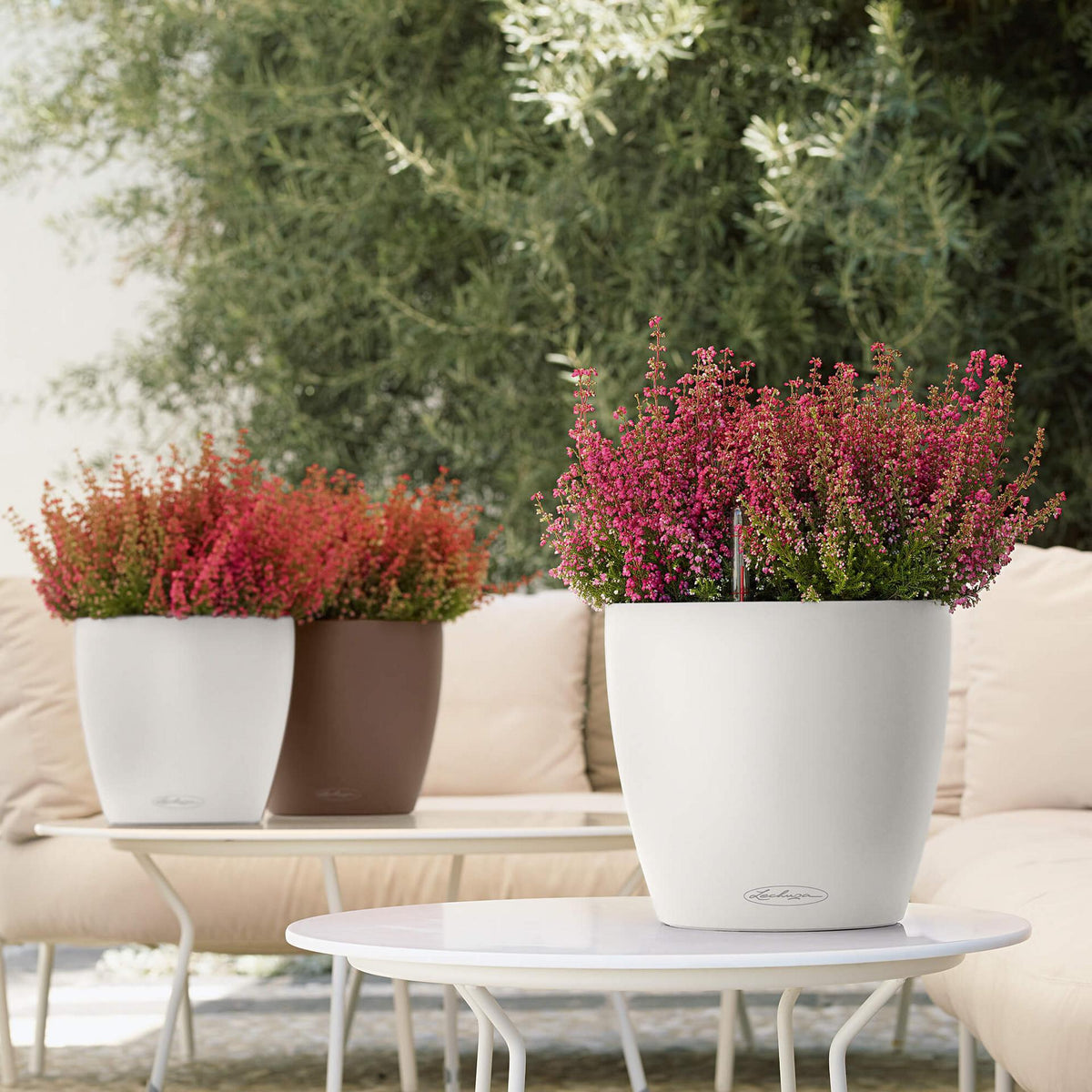 Lechuza Self-Watering Pot - CLASSICO Color 21