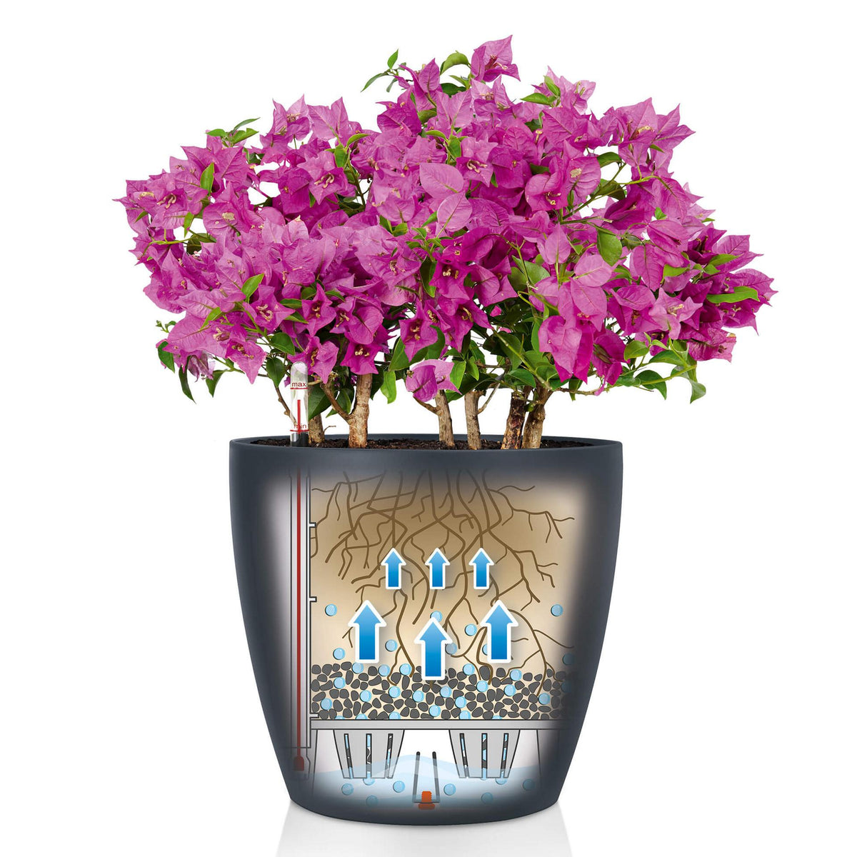 Lechuza Self-Watering Pot - CLASSICO Color 28