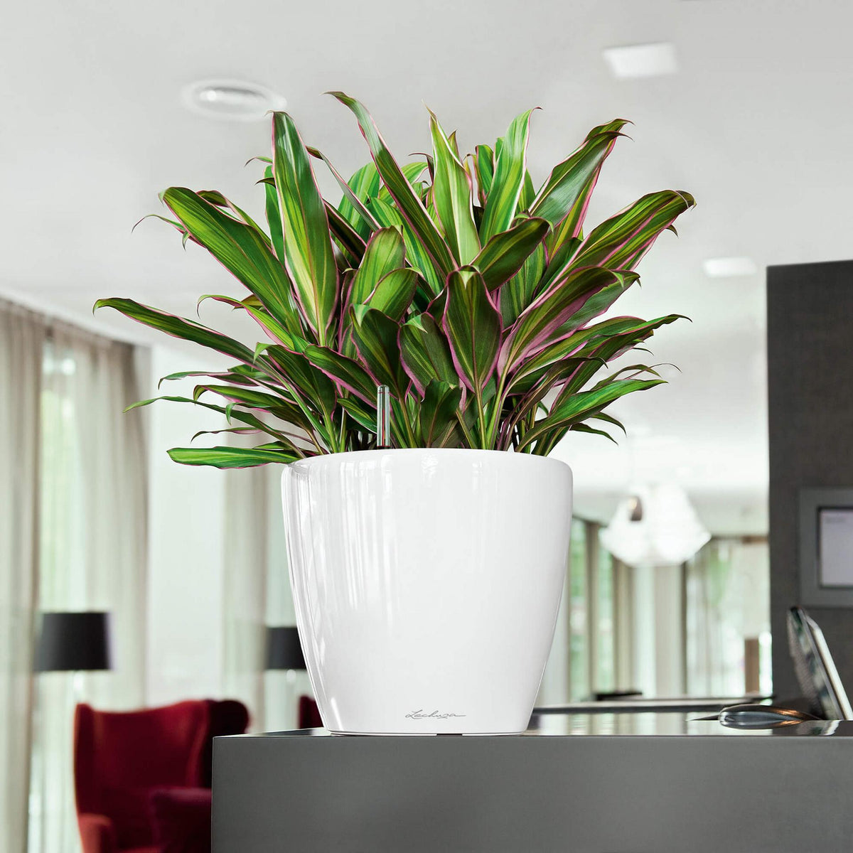 Lechuza CLASSICO LS 28 PREMIUM Self-Watering Pot