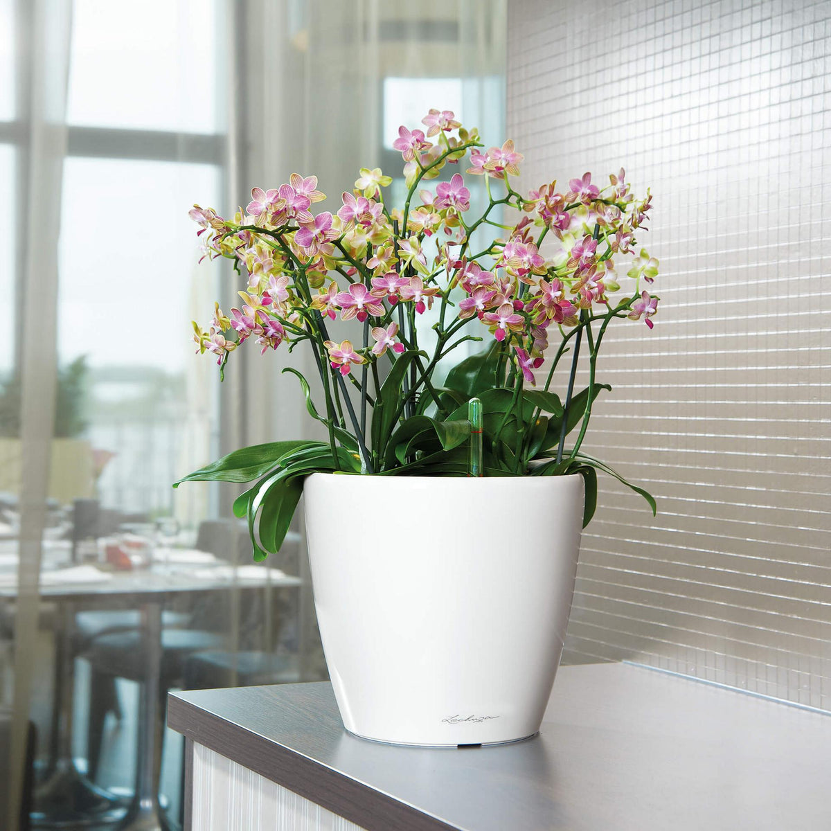 Lechuza CLASSICO LS 35 PREMIUM Self-Watering Pot