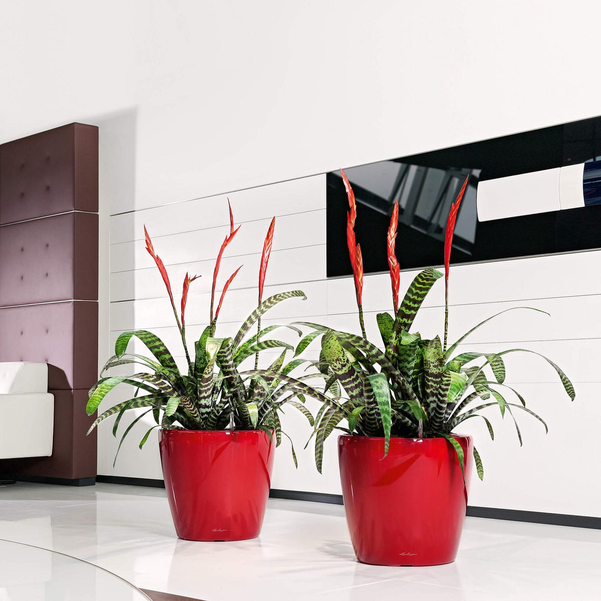 Lechuza CLASSICO LS 43 PREMIUM Self-Watering Pot