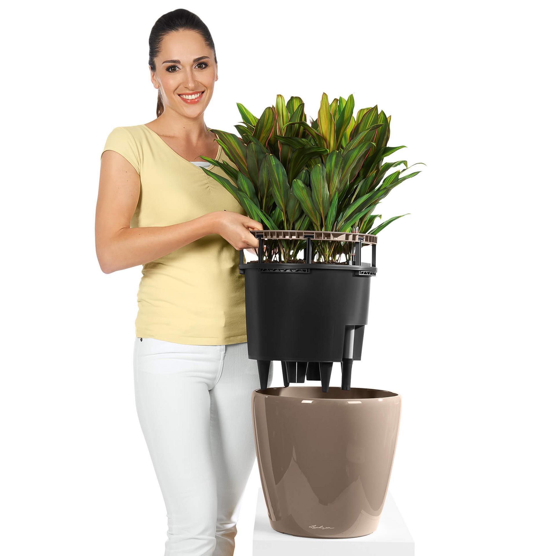 lechuza self watering planter Lechuza Self-Watering Pot - CLASSICO LS 35 Premium