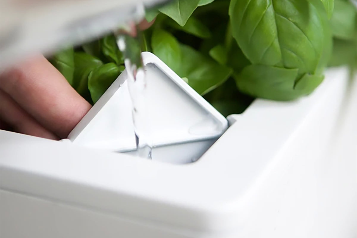 Glowpear Mini Rail Planter - Self Watering Balcony Planter Box