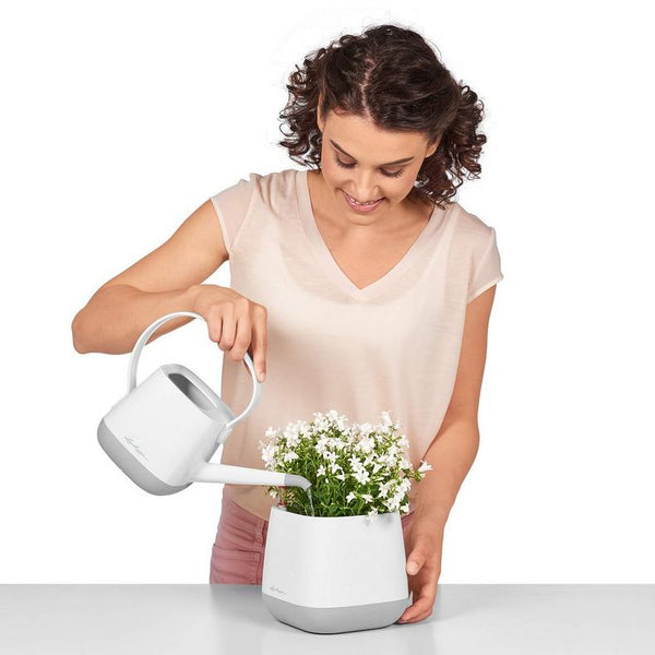 Lechuza Self Watering Pot - YULA