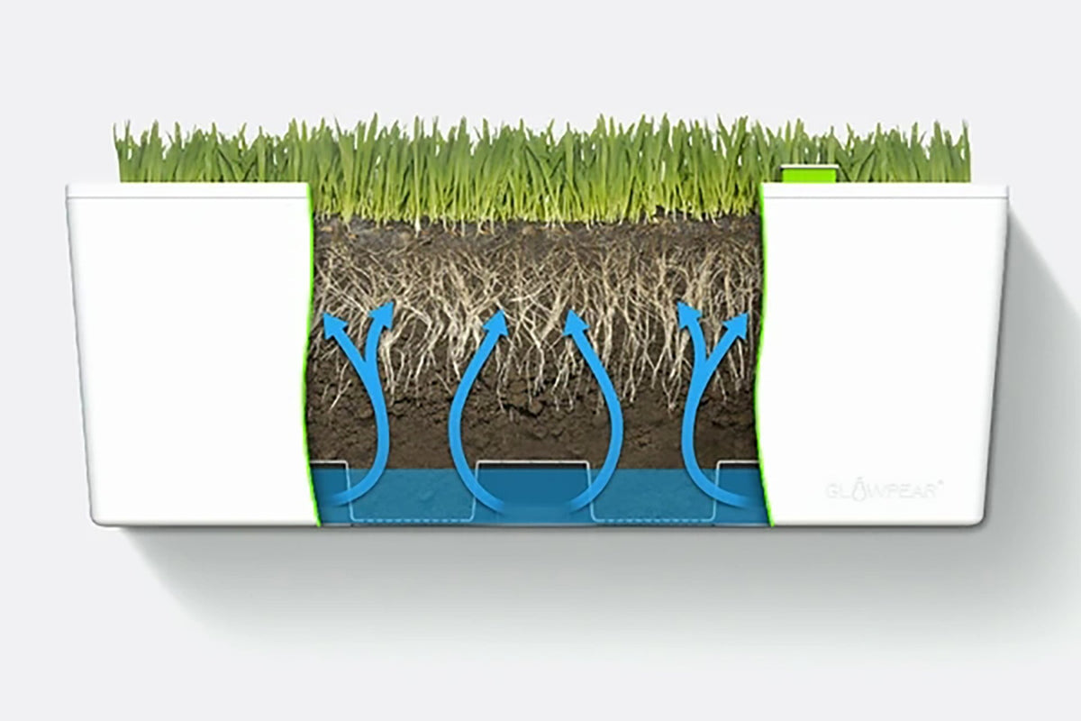 Glowpear Mini Rail Planter - Self Watering Balcony Planter Box