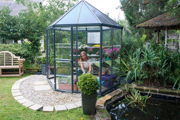 Maze Oasis Hex Premium Polycarbonate Greenhouse 8'